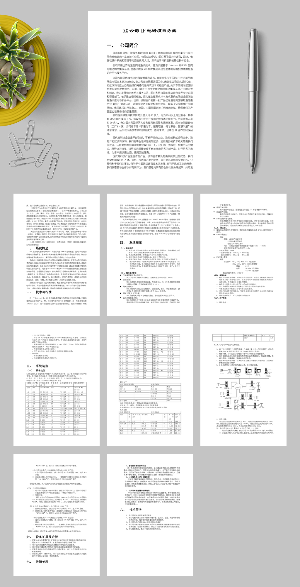 XX公司IP电话项目方案WORD素材