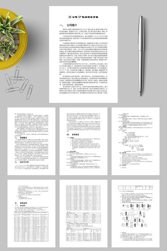 XX公司IP電話項目方案WORD
