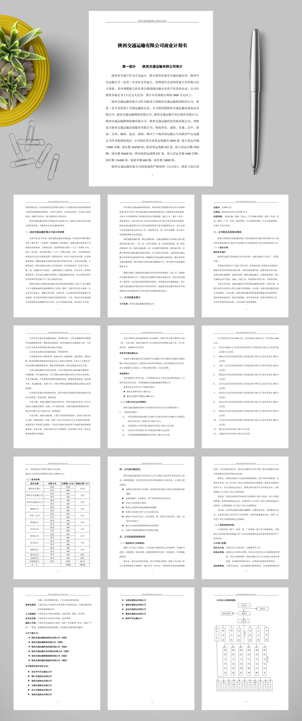 精美深圳邻家之约药业贸易有限公司商业计划书WORD素材