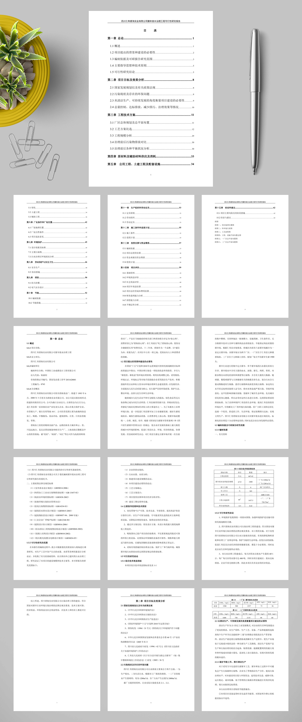 仁寿碧海实业有限公司屠宰废水治理工程可行性研究报告WORD素材