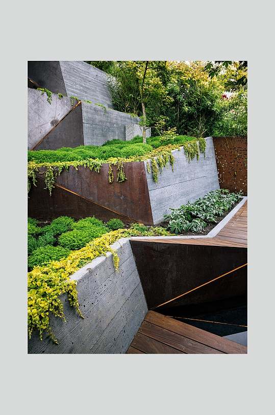 时尚植物希尔加德花园景观设计图片