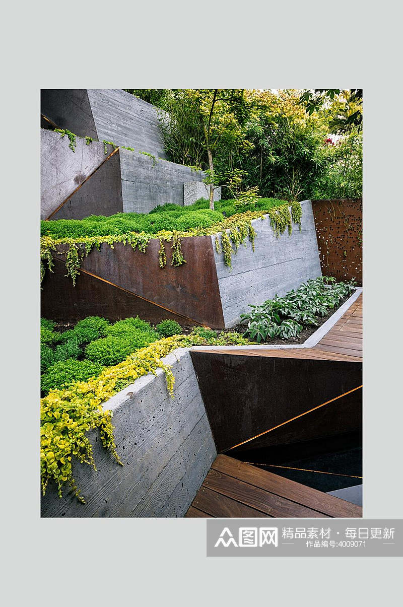 时尚植物希尔加德花园景观设计图片素材