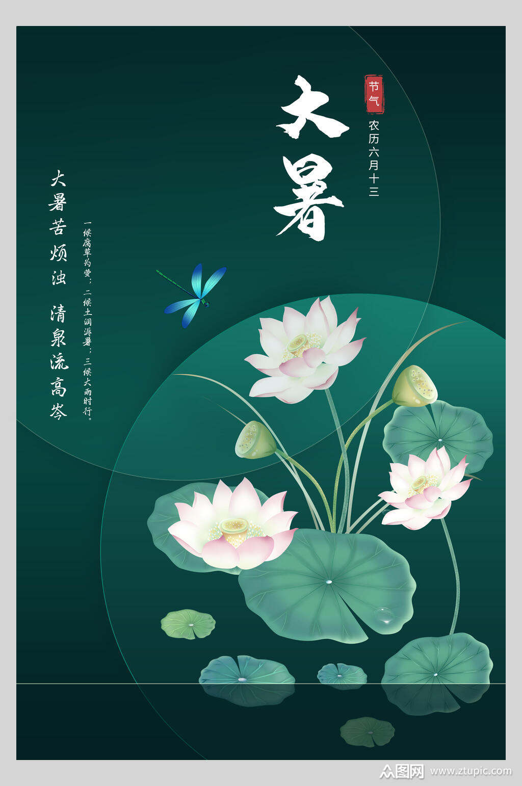 蜻蜓绿色圆形大暑节气海报素材