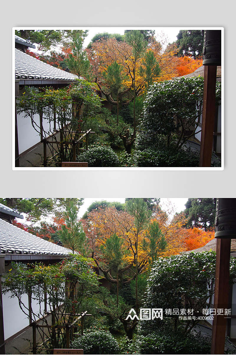 绿树红树亭日式庭院图片素材