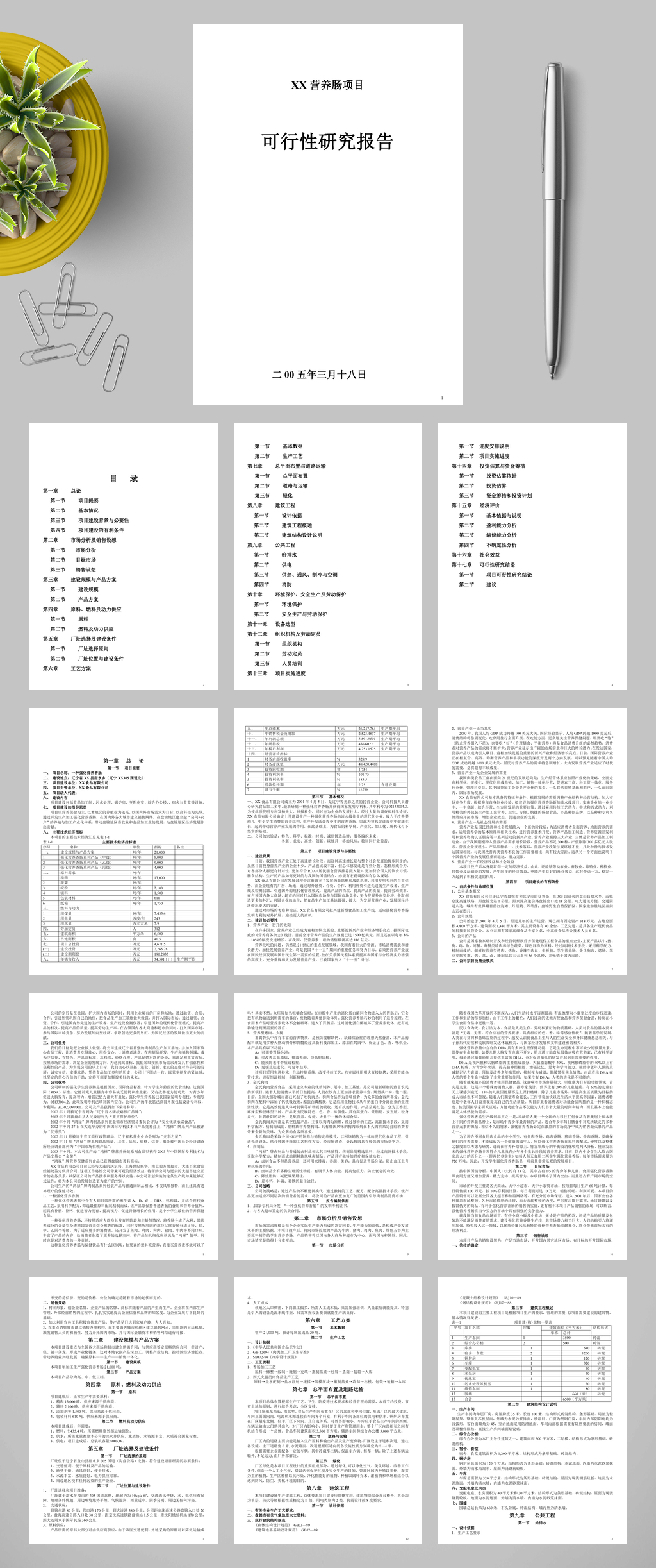 营养肠项目可行性报告WORD素材
