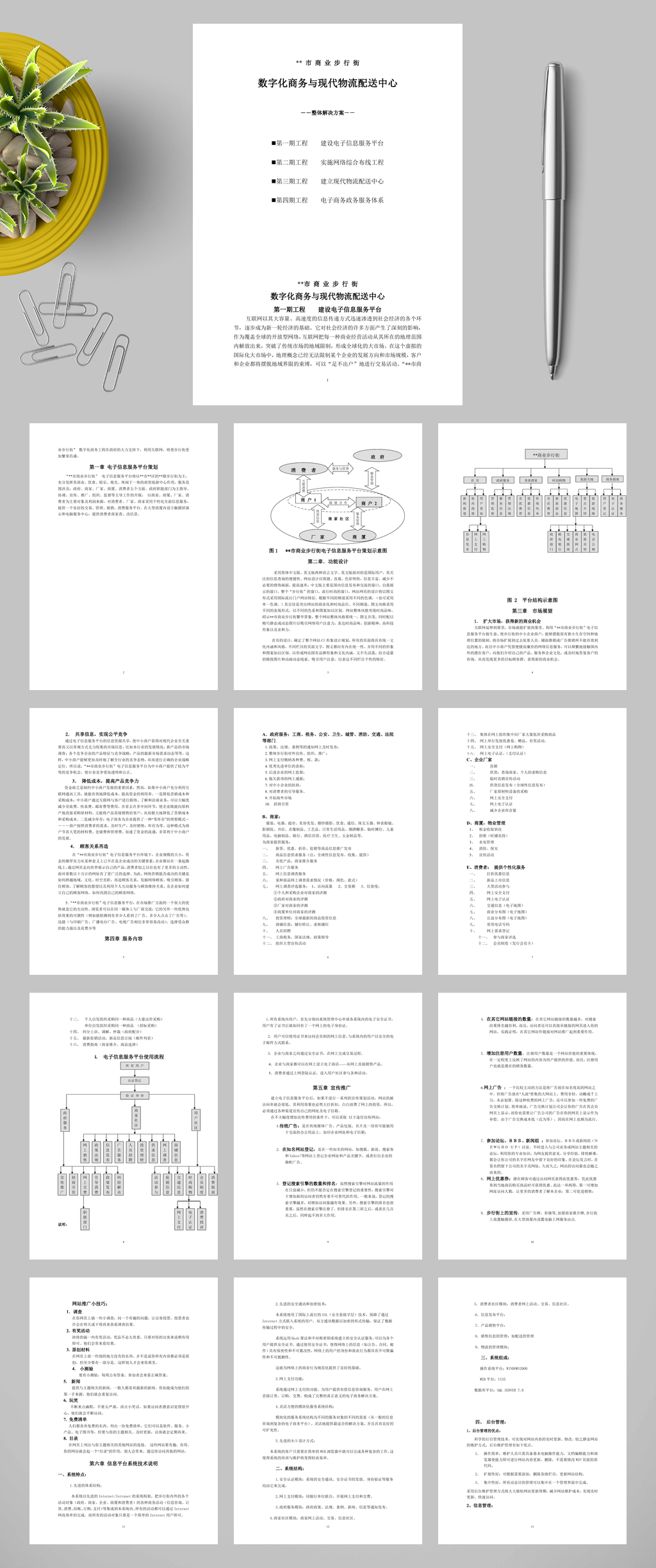 数字化商务与现代物流配送中心整体解决方案WORD素材