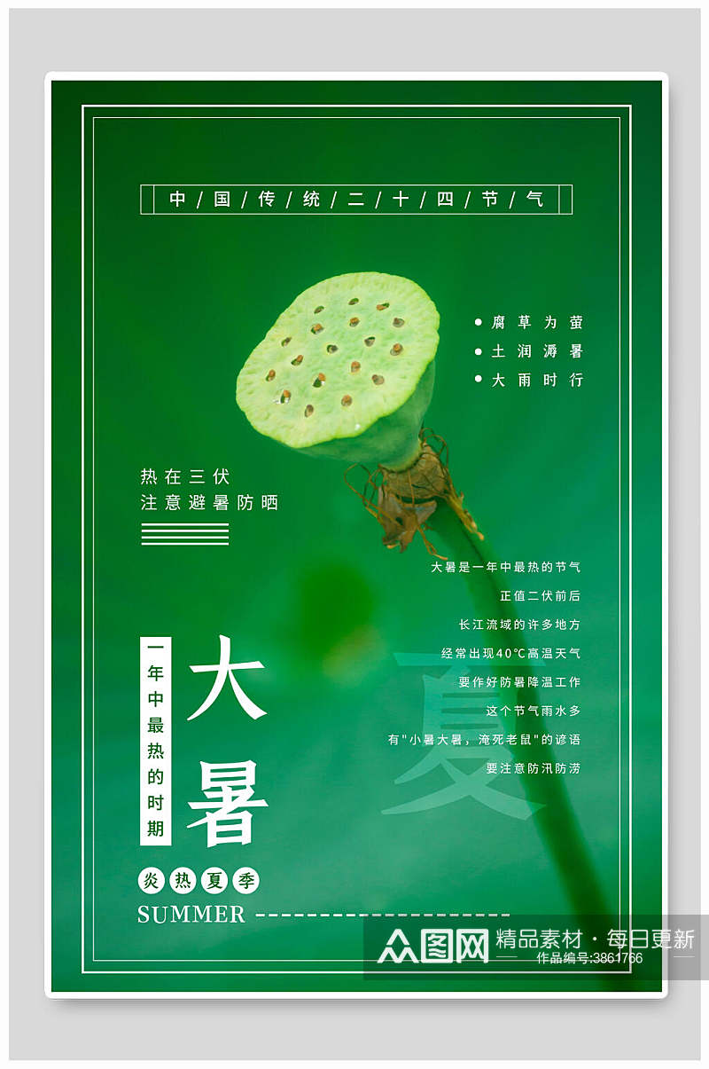 莲蓬绿色大暑节气海报素材