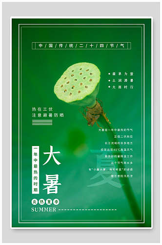 莲蓬绿色大暑节气海报