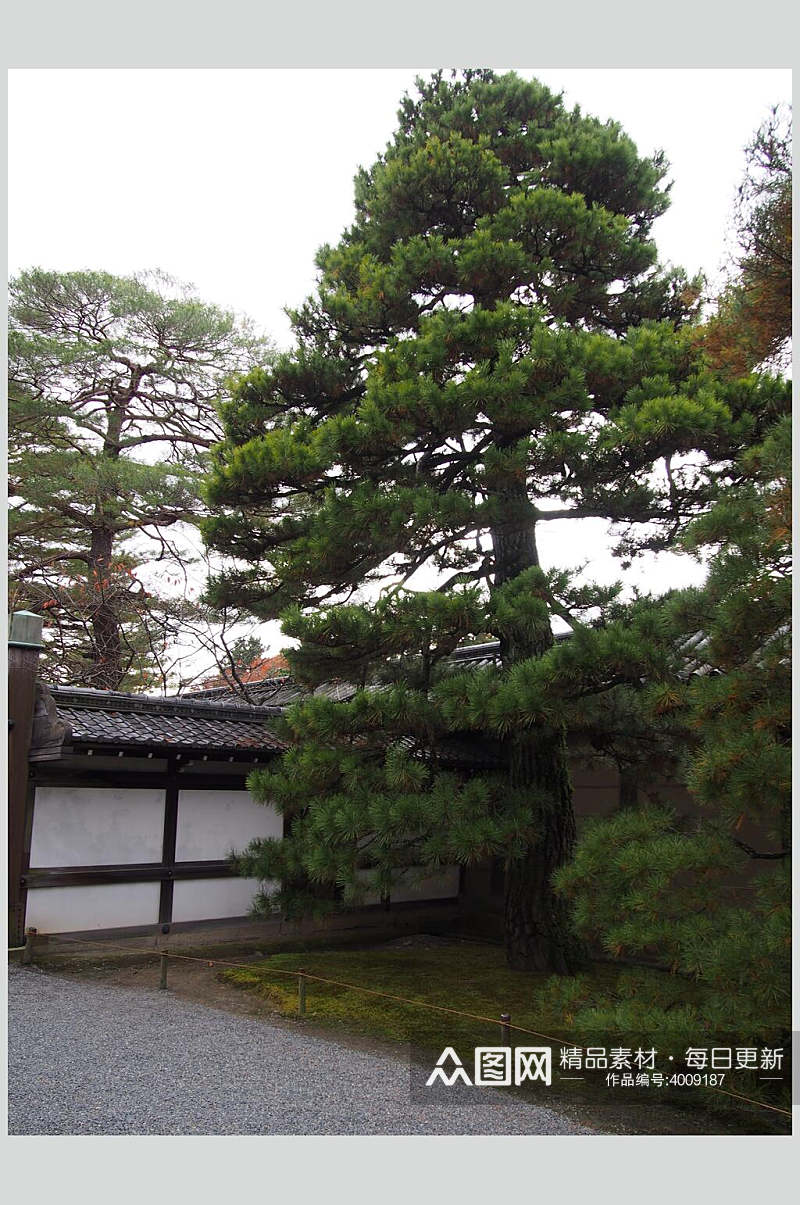 树木围墙创意高端清新日式庭院图片素材