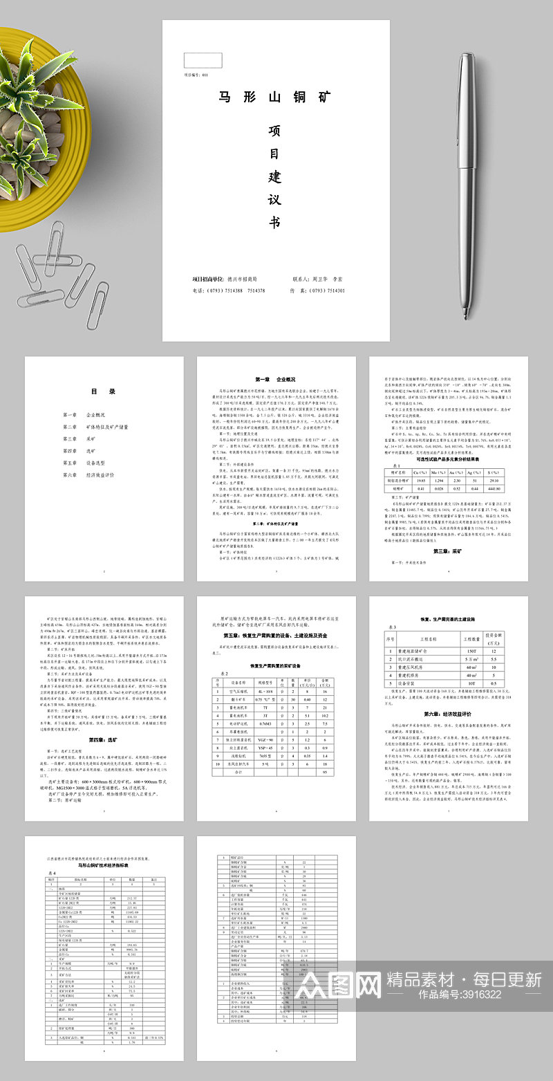 XX铜矿项目建议书WORD素材