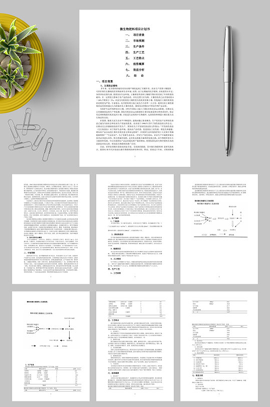 时尚微生物肥料项目计划书WORD