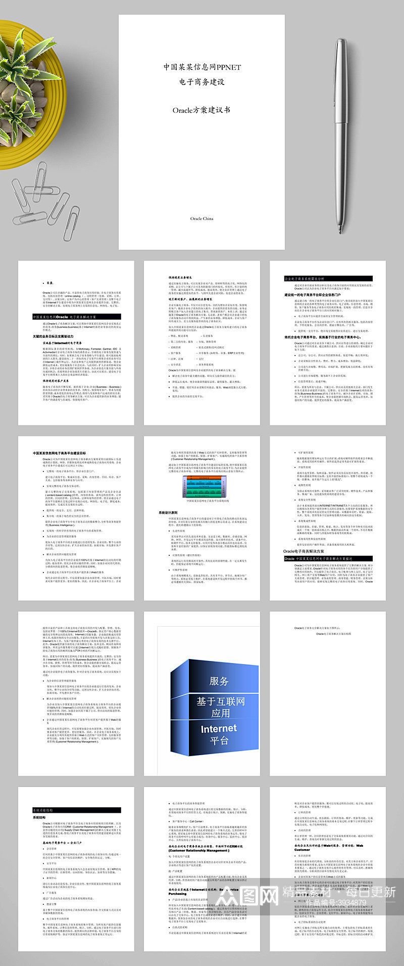 某信息网电子商务建设Oracle方案建议书WORD素材