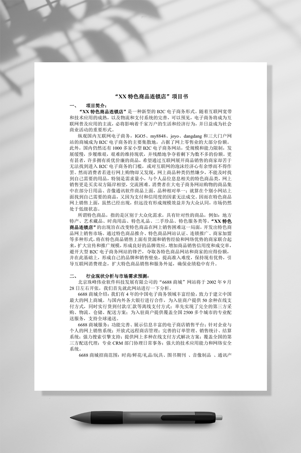 XX特色商品连锁店项目书WORD素材