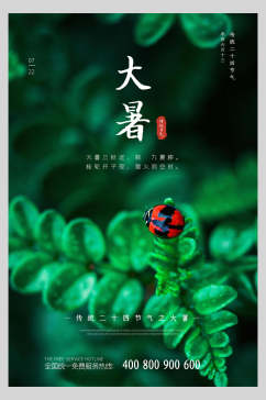 瓢虫绿叶大暑节气海报