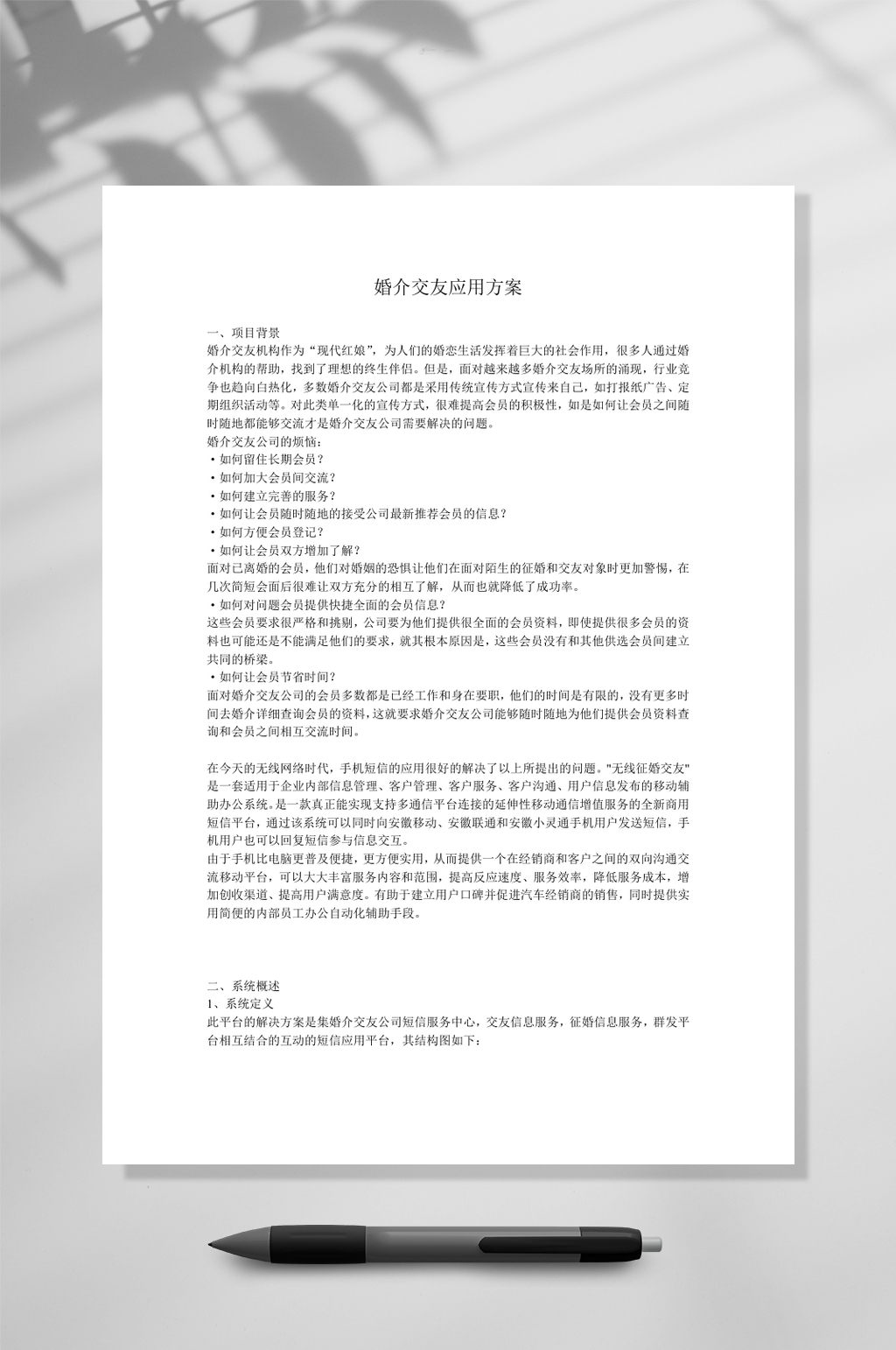 婚介交友应用方案WORD素材