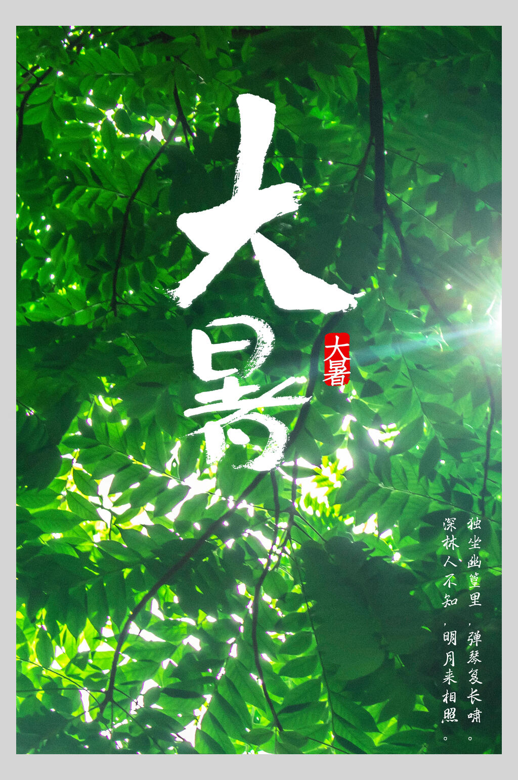绿叶大暑节气海报素材