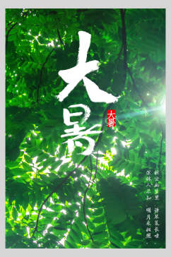 绿叶大暑节气海报
