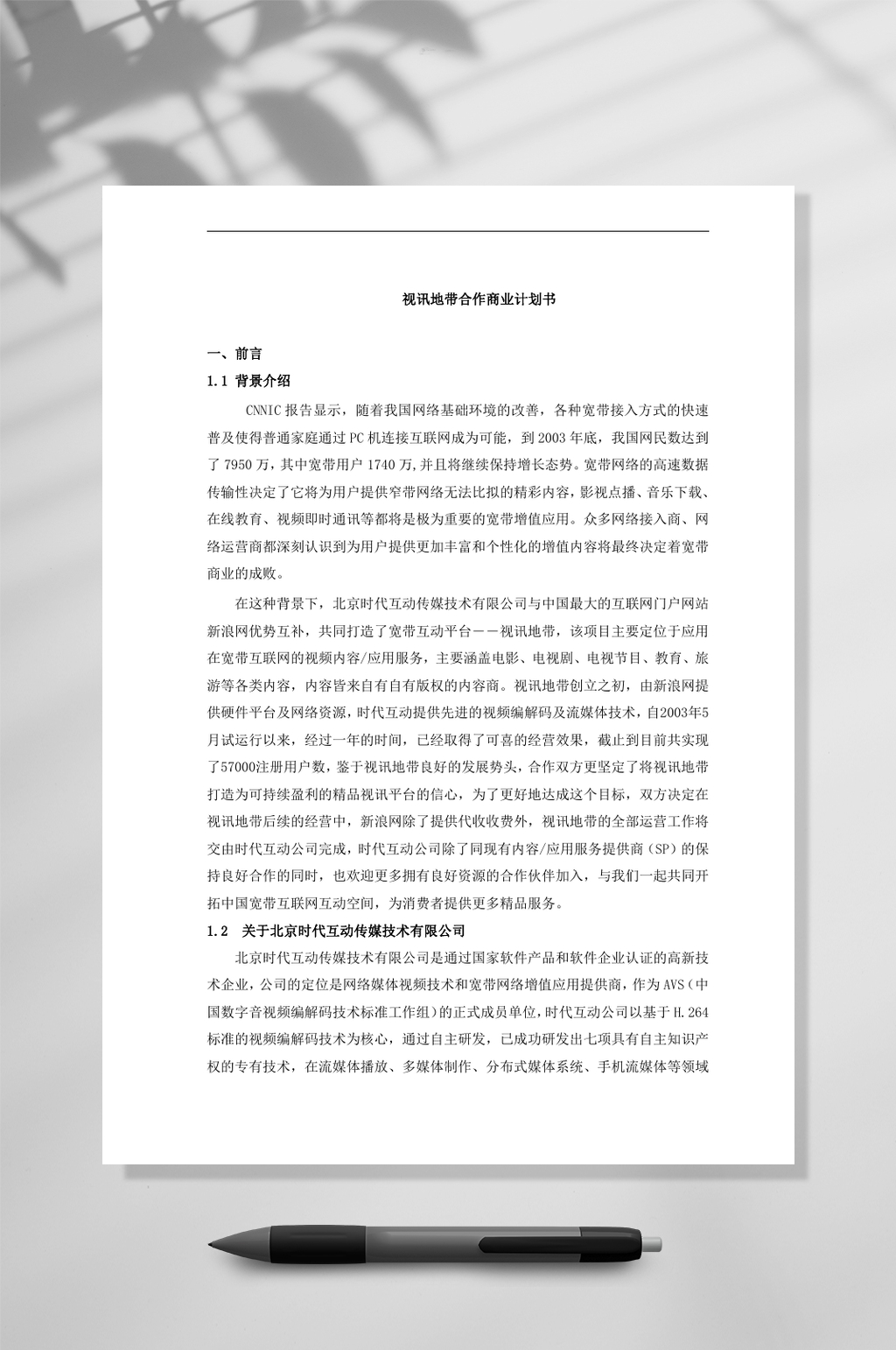 视讯地带合作商业计划书WORD素材