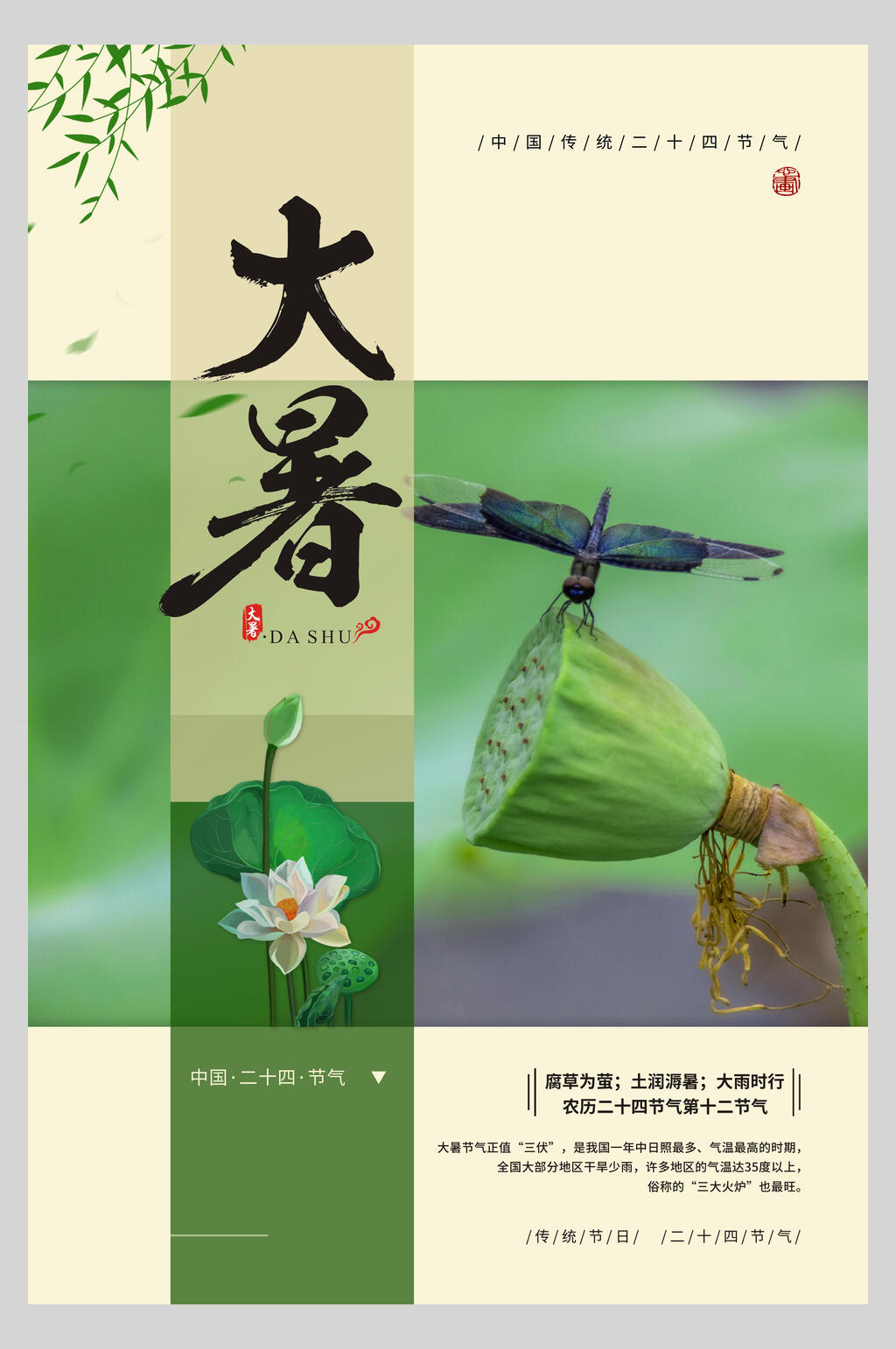 蜻蜓大暑节气海报素材