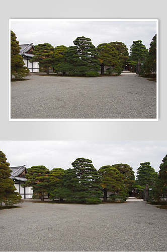 石头树木房屋高端时尚日式庭院图片