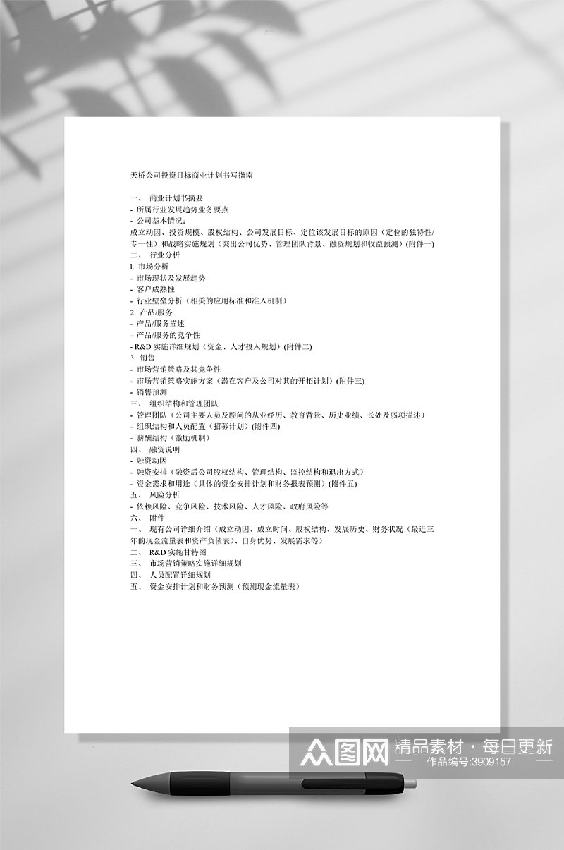 天桥公司投资目标商业计划书写指南WORD素材