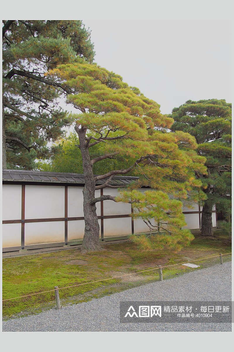 创意高端时尚树木日式庭院图片素材