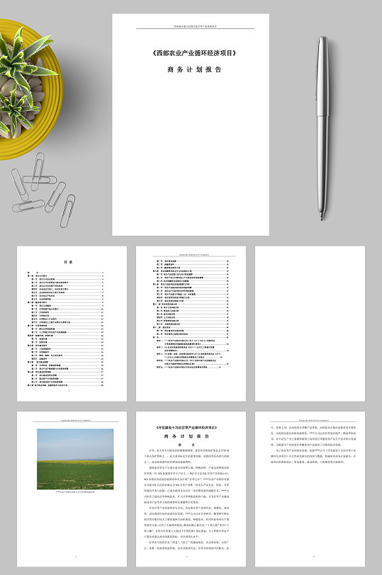西部地区农业项目商业计划书WORD