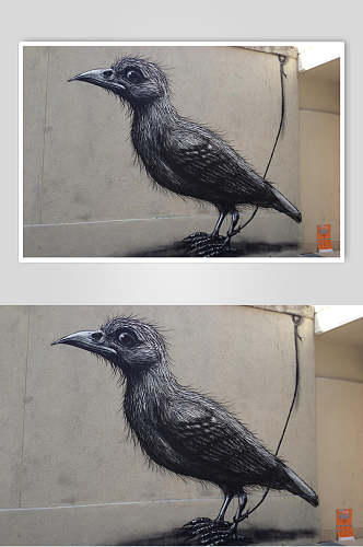 高端创意鹰钩嘴鸟街头墙面涂鸦图片