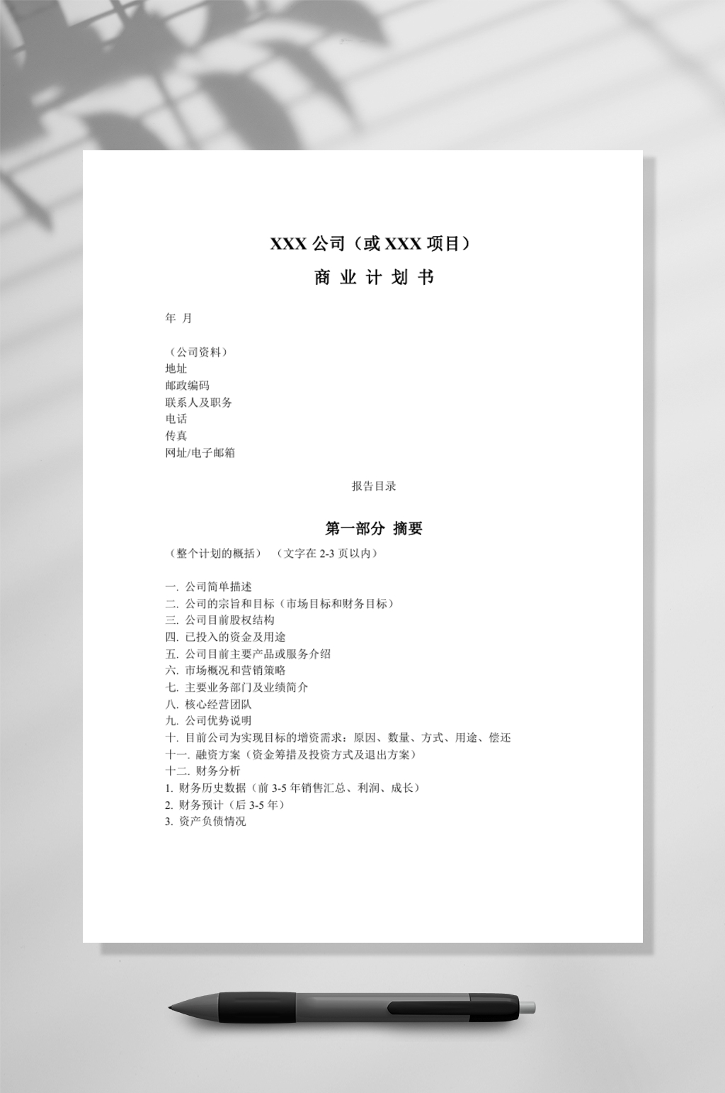 公司商业计划书模板简明中文版WORD素材