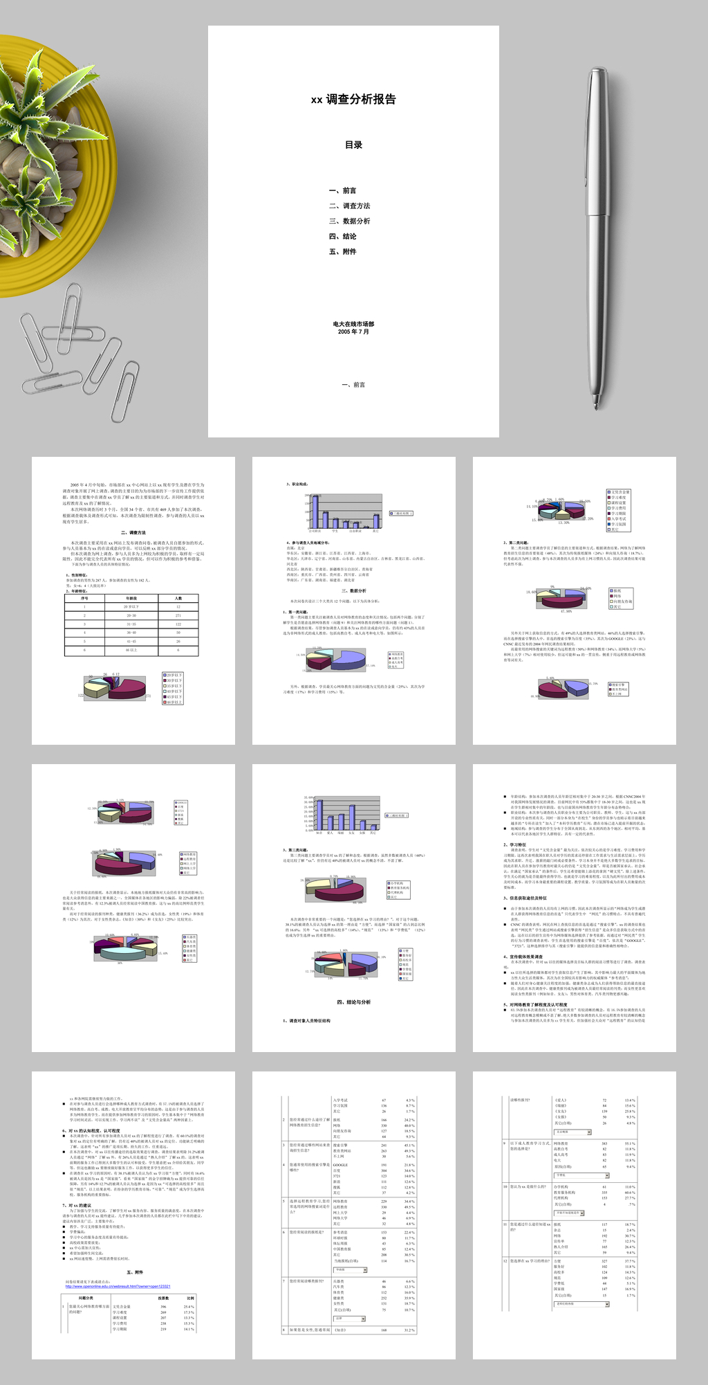 精美某网站调查报告WORD素材