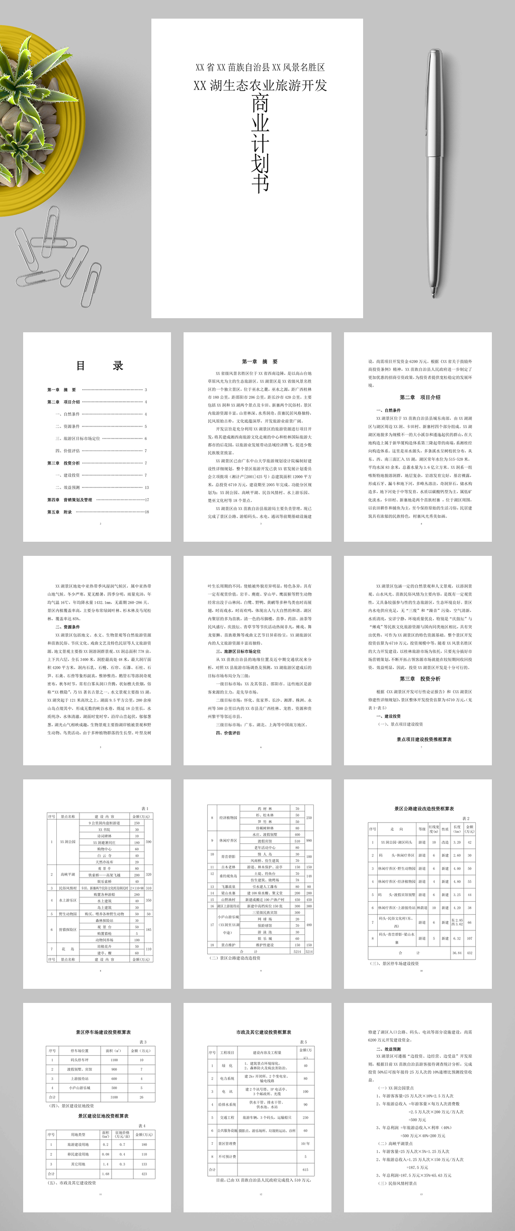 XX湖生态农业旅游开发WORD素材