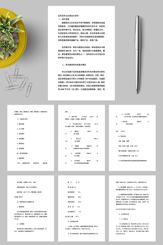 岳西龙井山庄商业计划书WORD