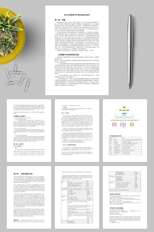 XX公用信息平台项目商业计划书WORD-众图网