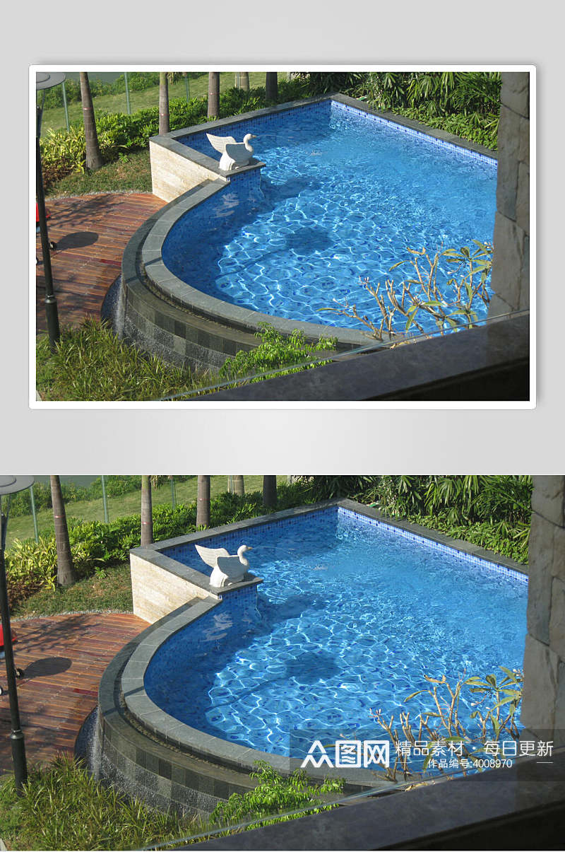 泳池清新创意高端简约植物庭院图片素材