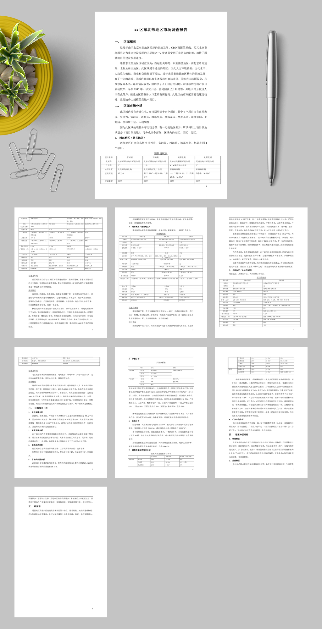某区东北部地区市场调查报告WORD素材