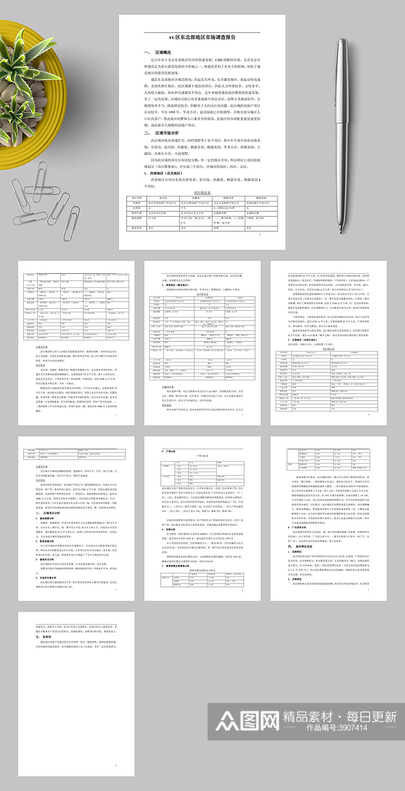 某区东北部地区市场调查报告WORD素材