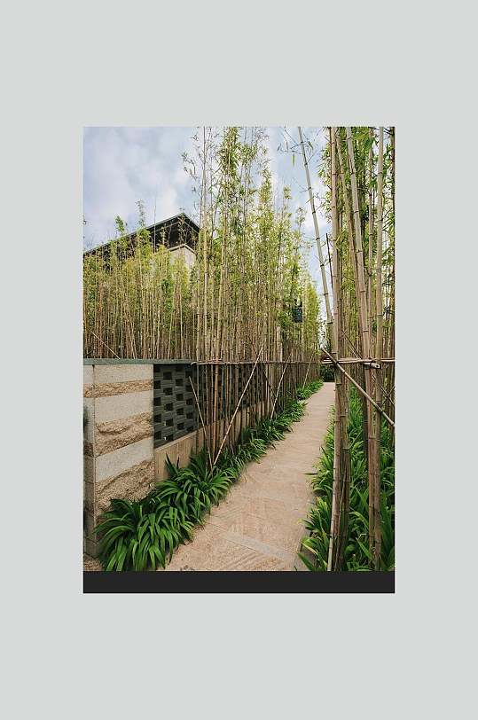 竹林景观图片-竹林景观设计素材-竹林景观模板下载-众图网