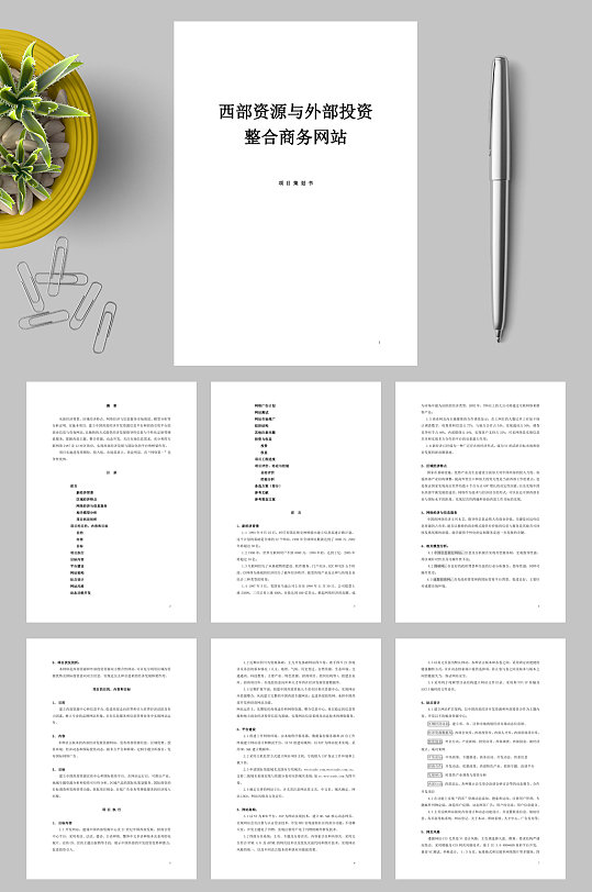 西部资源与外部投资整合商务网站项目策划WORD