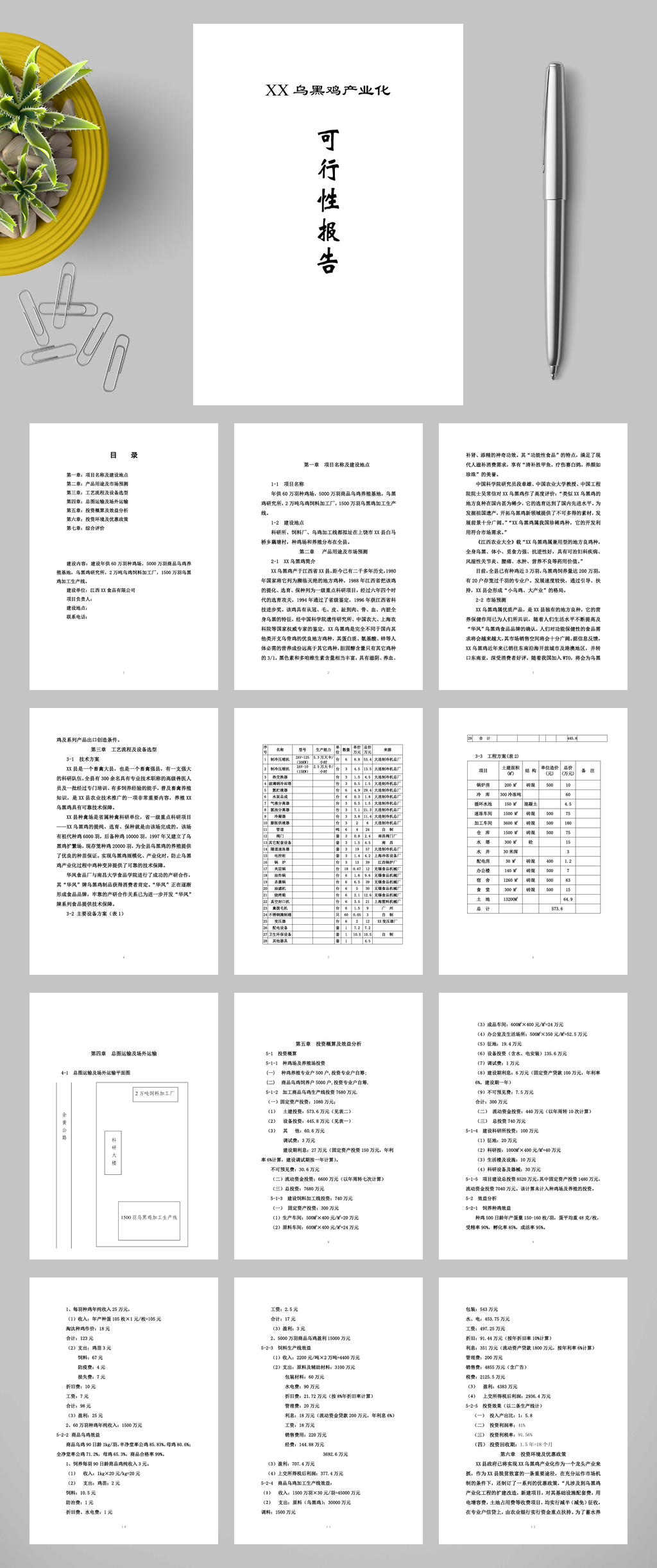 乌黑鸡产业化可行性报告WORD素材