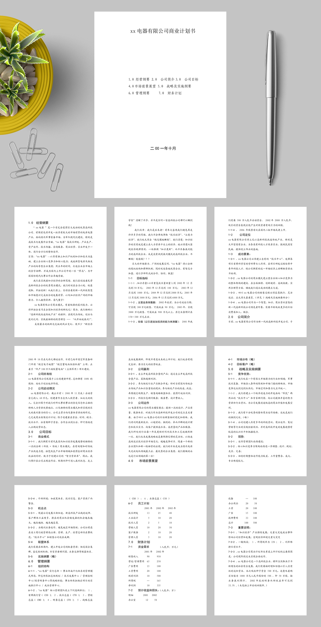 xx电器有限公司商业计划书WORD素材