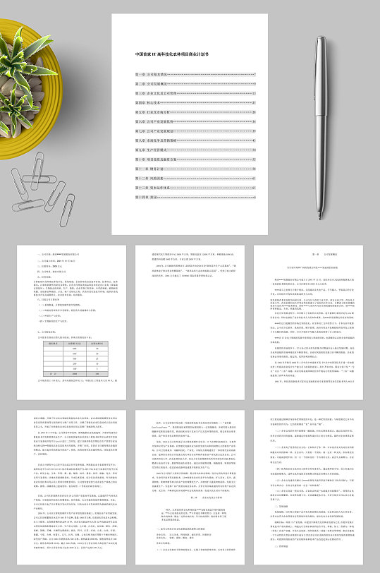 中国首家IT高科技化农林项目商业计划书docWORD-众图网