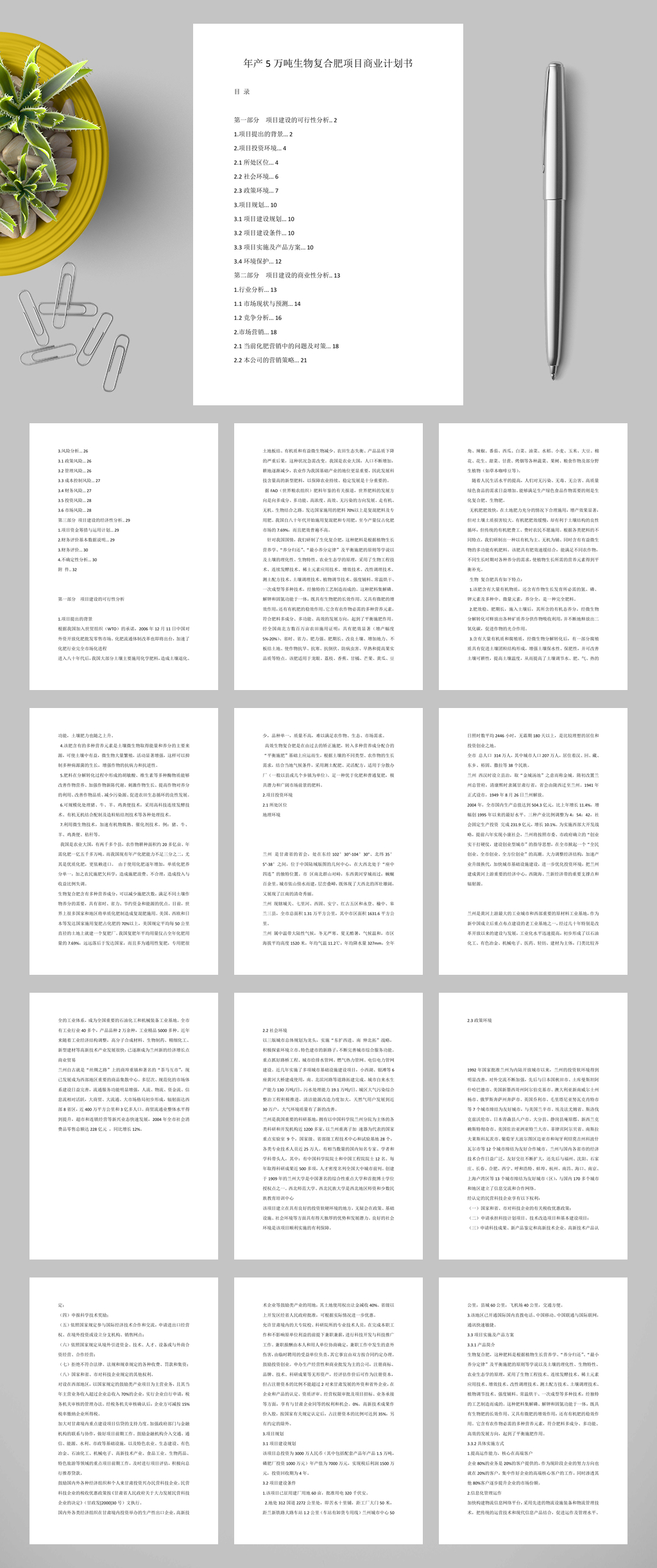 年产五万吨生物复合肥项目商业计划书WORD素材