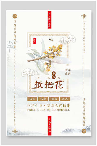 枇杷花中国风海报