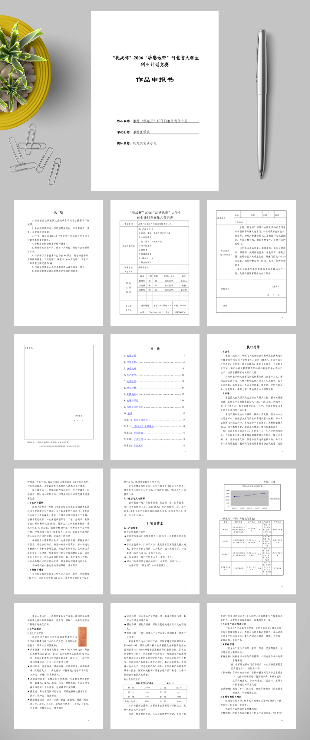商业计划书承德跃龙兴环保门有限责任公司WORD素材