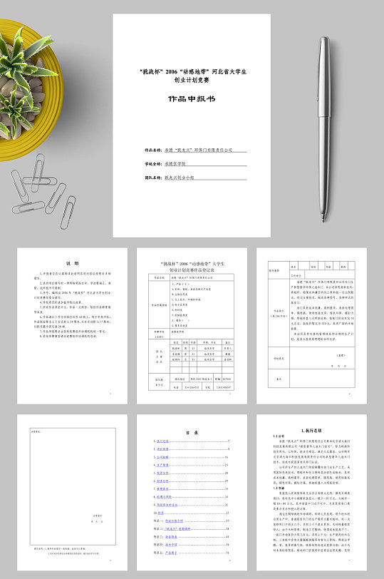 商业计划书承德跃龙兴环保门有限责任公司WORD