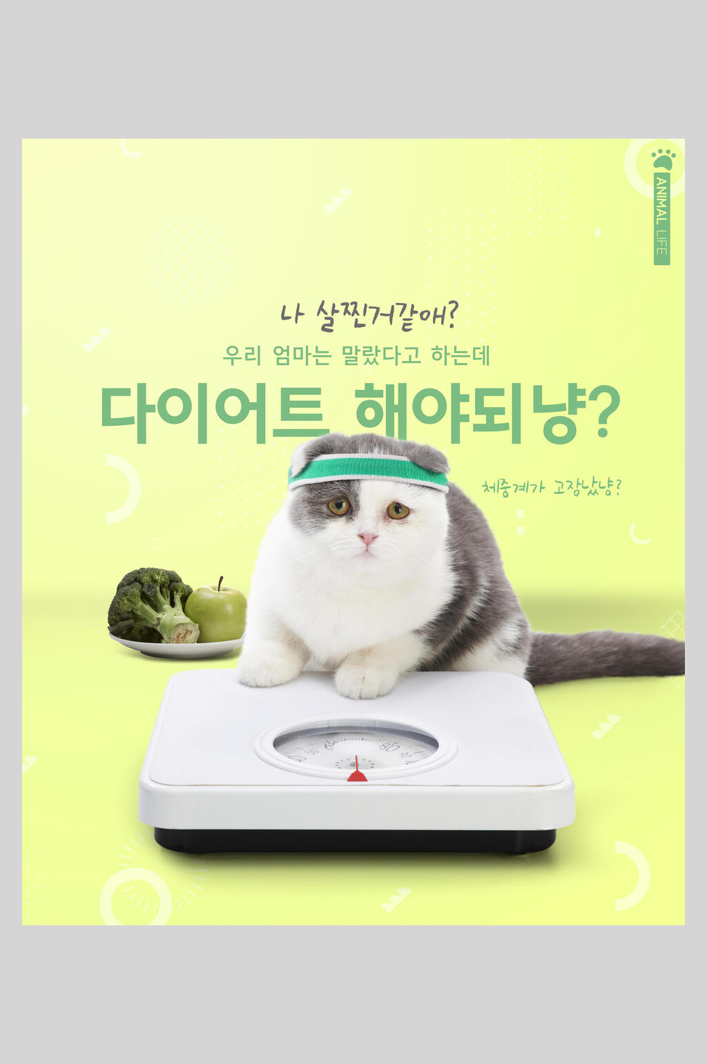 可爱猫咪创意宠物海报素材