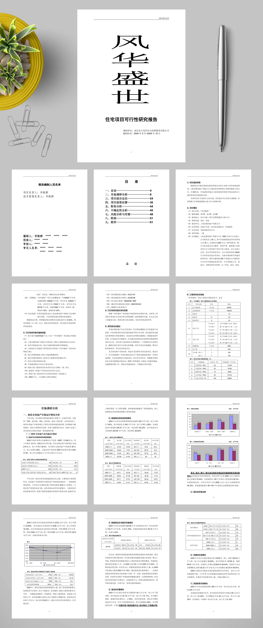 住宅项目可行性研究报告WORD素材