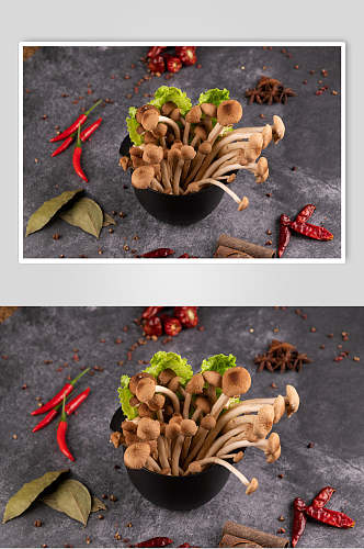 野菌茶树菇火锅配菜摄影图片