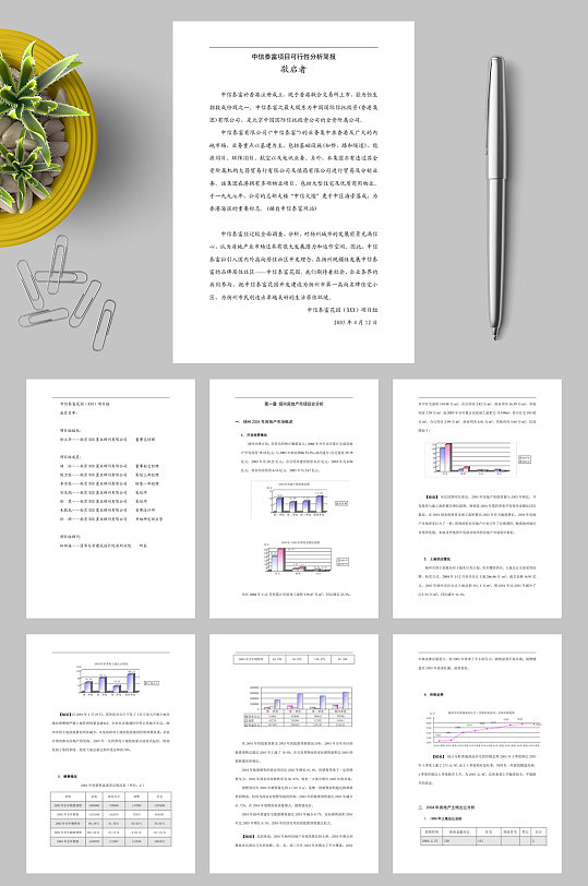 中信泰富项目可行性分析简报WORD