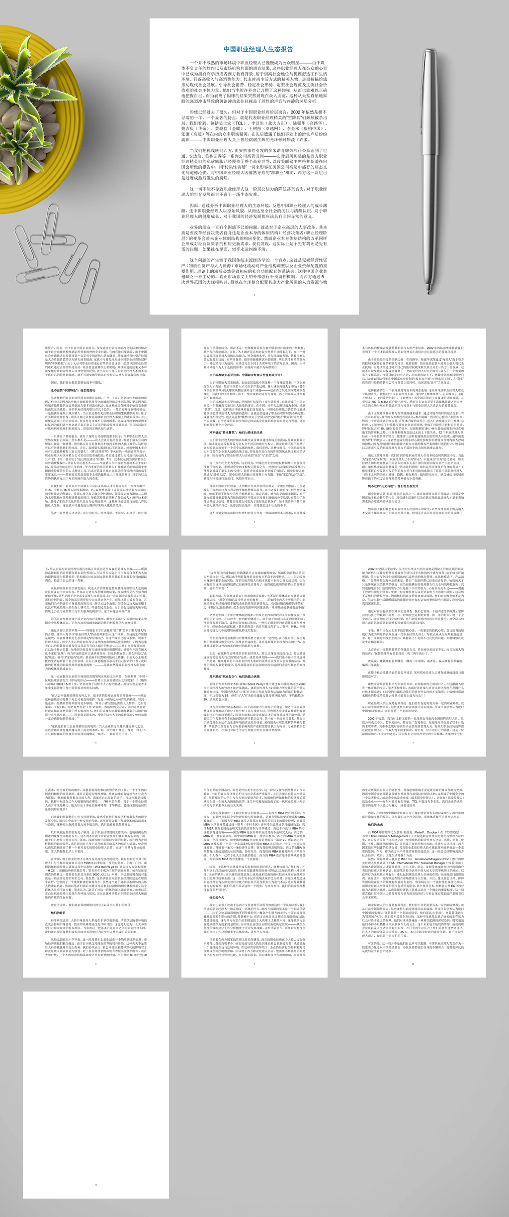 中国职业经理人生态报告WORD素材